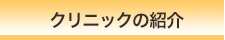 �N���j�b�N�̏Љ�